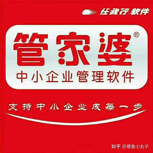 管家婆正版管家,全面釋義、解釋與落實(shí)與警惕虛假宣傳